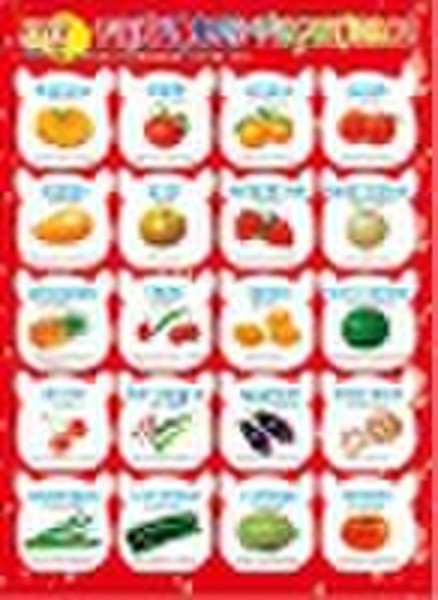 3D wall chart-fruit and vegetable