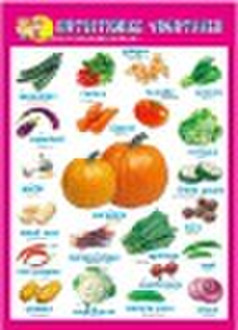 3D wall chart-NUTRIONAL VEGETABLE