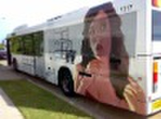 One Way Vision Vinyl