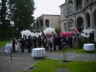 Wedding Ceremony Bio balloons