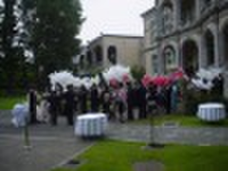 Hochzeits-Zeremonie Bio Luftballons