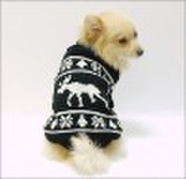 pet dog clothes