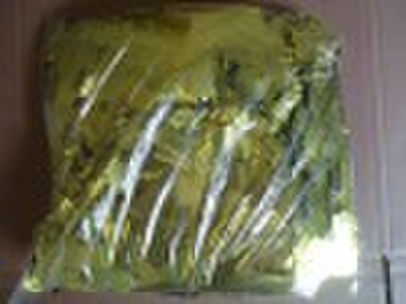 Crepe Paper Streamer