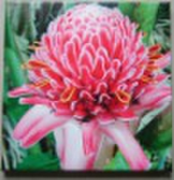 flower digital prints