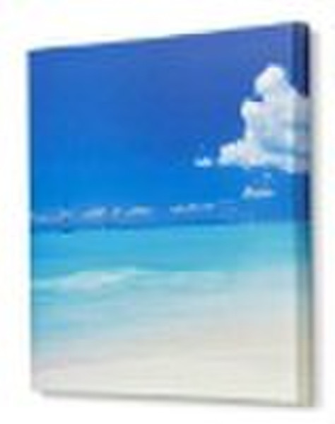 lion giclee printing