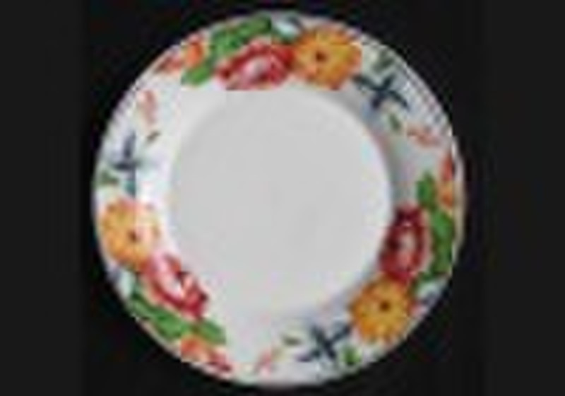 10.5 porcelain dinner plates and bowls