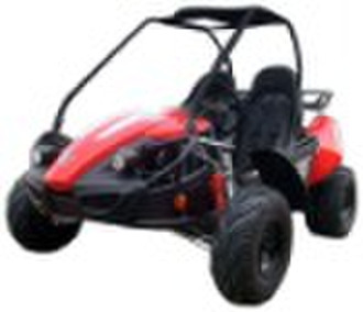 Go Kart 300CC