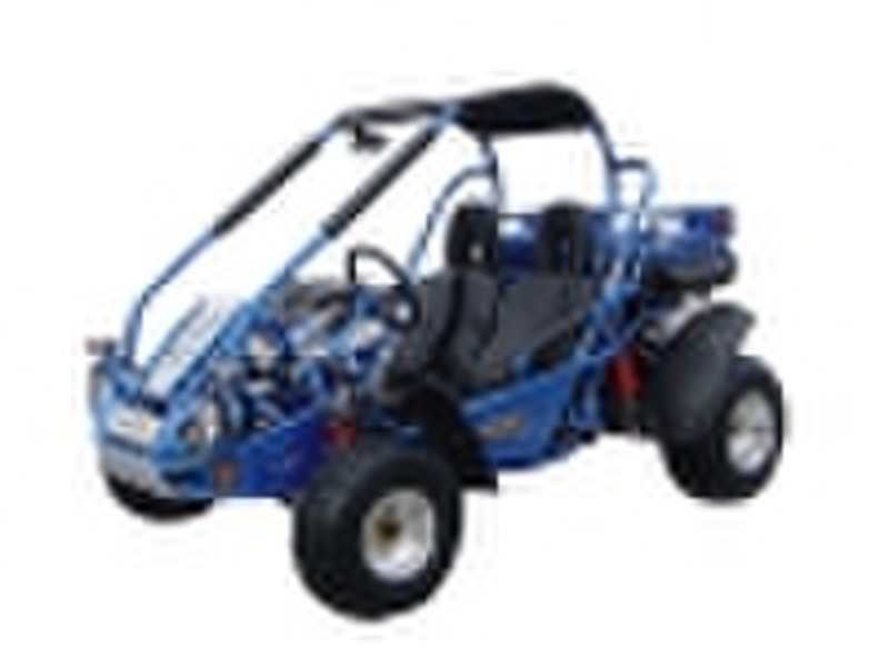 250er-Go Kart TBM250-1