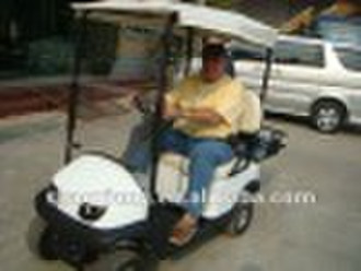 AX-D1-G (S-13) Golf-Cart