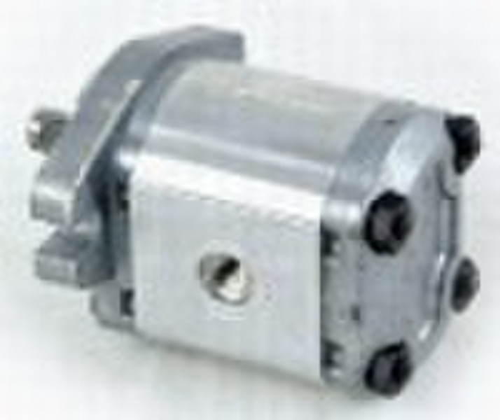 Hydraulic gear motor