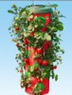 strawberry planter(77301)