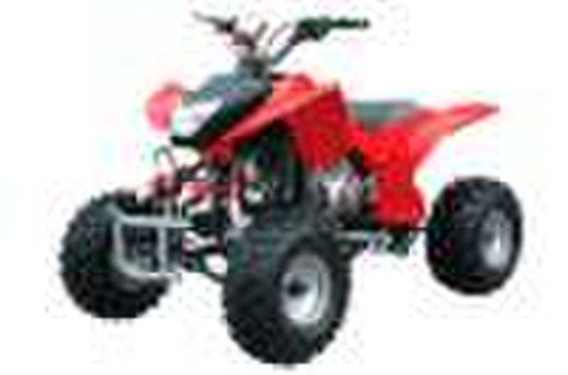 250cc ATV (WJ250ST-2)