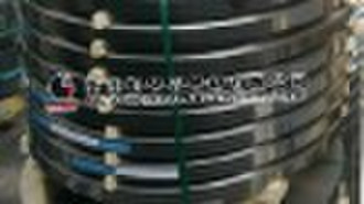 Stainless steel strip