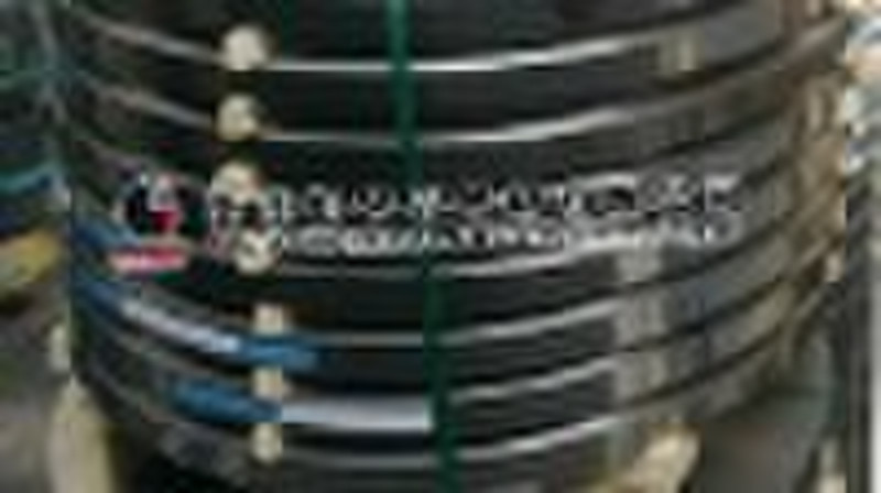 Stainless steel strip