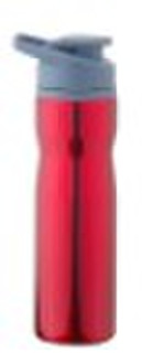 new style stainless steel sports bottle with fashi