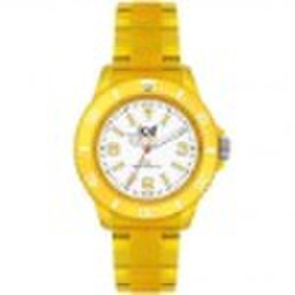 Hot sell plastic watch,ICE watch