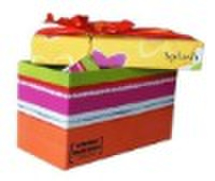 2010 Paper Gift Box