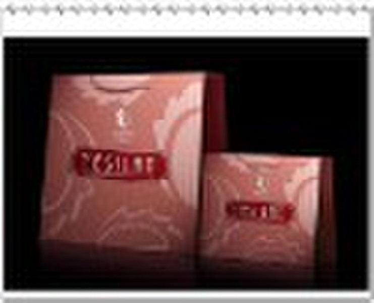 Paper Shopping Promotional Bag