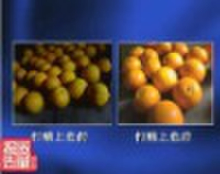 Fruit cleaning and waxing product/Fruit process ma