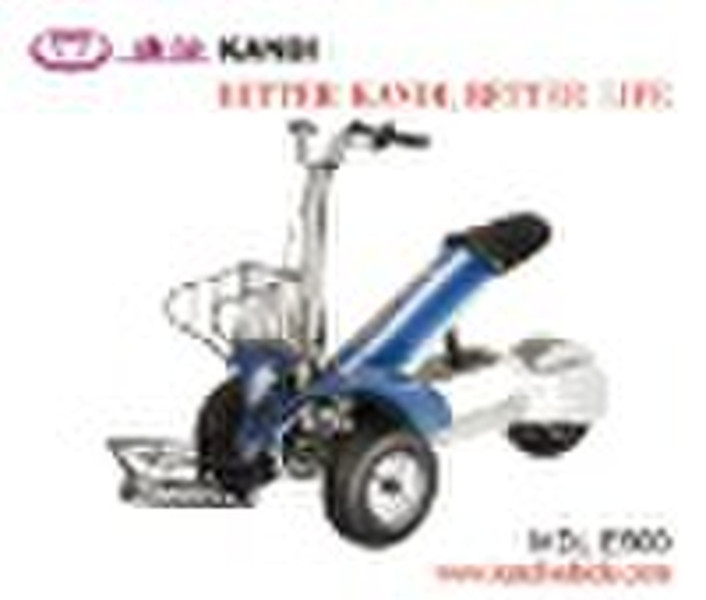 Golf Cart E500