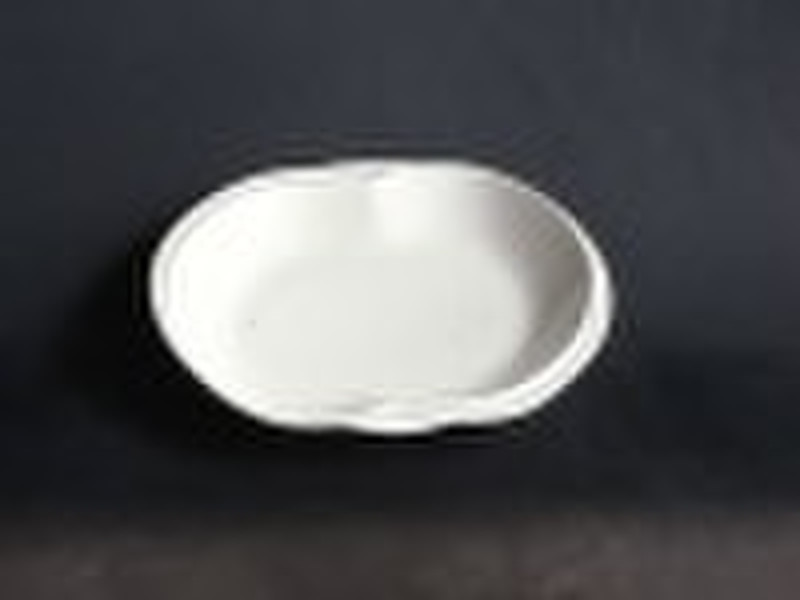 WH1006J porcelain dinner plate