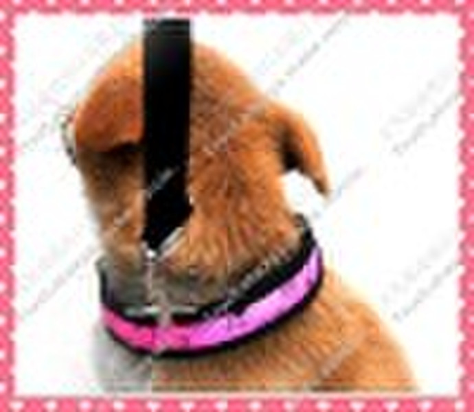 New product LED Pet collar light dog collar flashi