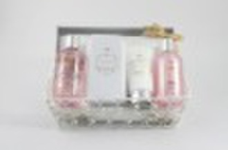 baht gift set with wire basket (2010D-004)