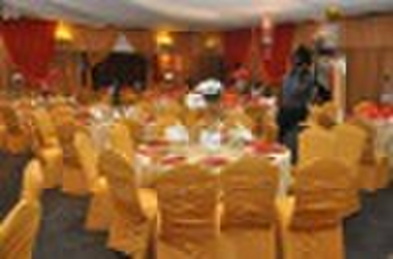 C-008 Nylon / poly spandex chair cover