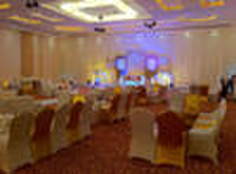 C-009 Nylon stretched spandex chair cover