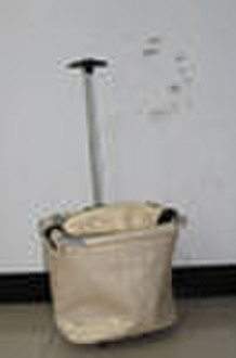 trolley bag