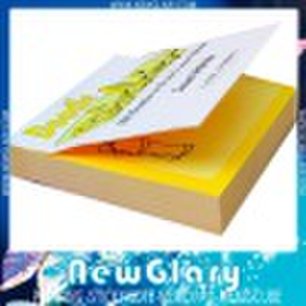 Unique Sticky Note Pad With Cover (NG-BJ07)