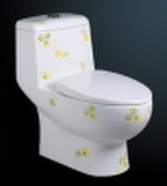 ceramic Toilet