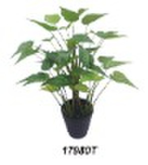 Искусственные растения Каладиум-Item 17980