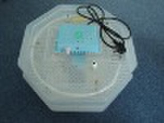 semi egg incubator