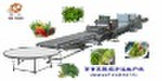 vegetable washing machine