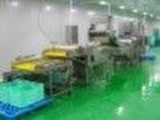 vegetable Processing Machinery