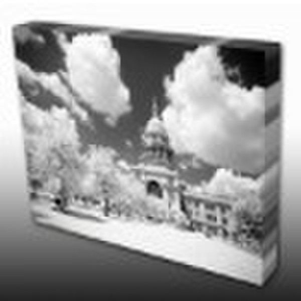 High Quality giclee printed canvas