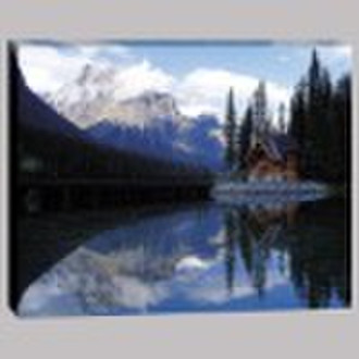 digital printing canvas