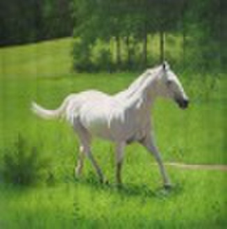 Realistic horse oil painting