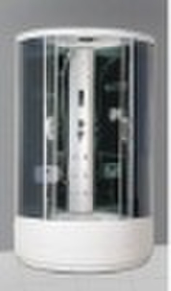 computerized steam room