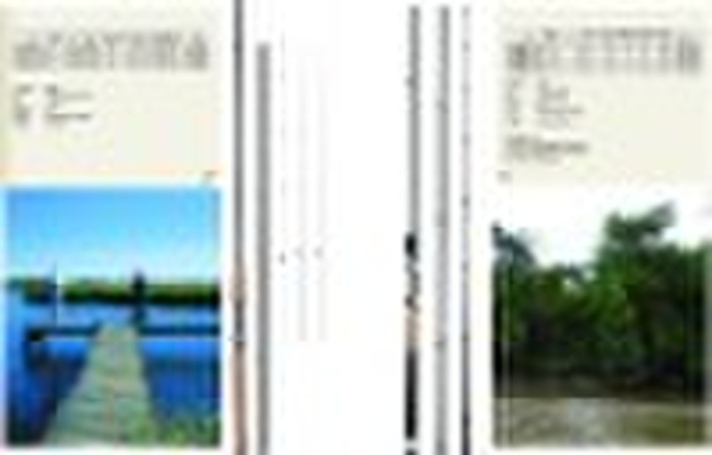 fly fishing rod