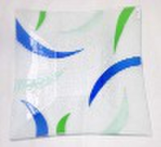 Fused Glass Plate