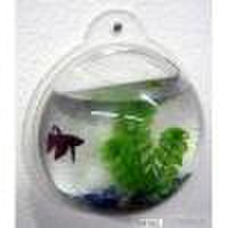 Fish Bowl