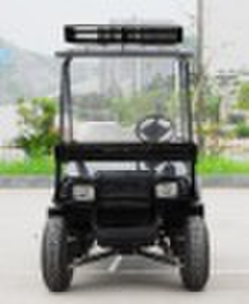 Electric UTV