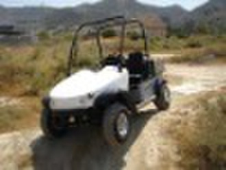 Electric UTV