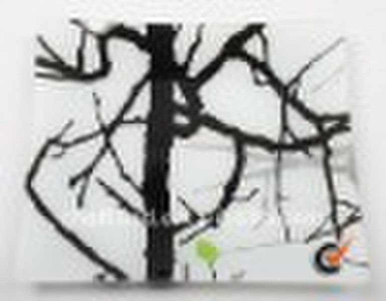 Tempered Glass Plates