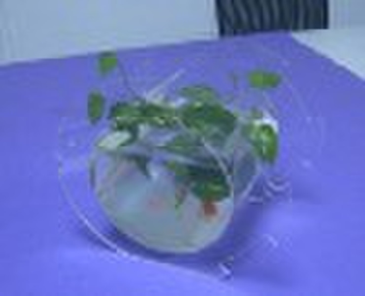 5mm Thick Clear Acrylic Mini Desktop Aquarium;Clea
