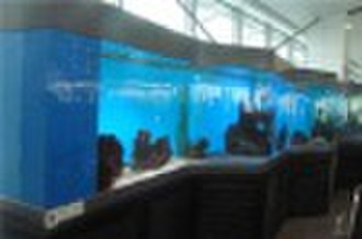aquarium showcase