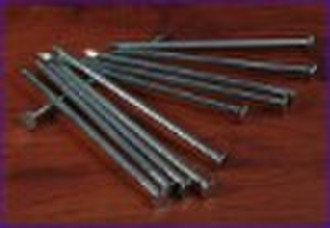 common Nail