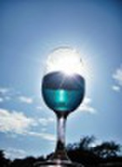 wine glass goblet drinking glass  glassware stemwa